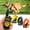 For 3-dogs, variant on Dog Training Collar, Waterproof Dog Shock Collar with Remote, 3 Modes Beep Vibration Shock for Small Medium Large Dogs, Black