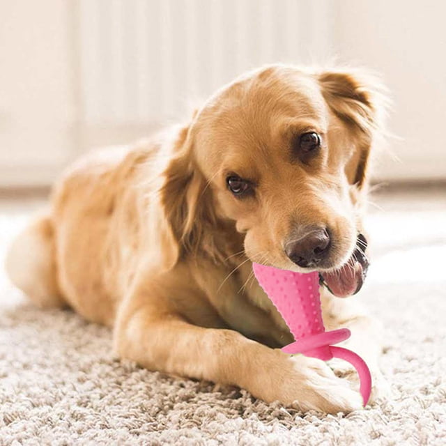 Interactive Silicone Pacifier Shape Molar Clean Teeth Toy for Aggressive Chewers Dog Puppy Cat Teething Training Playing Indoor Outdoor