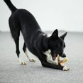 thumbnail image 2 of Juguete masticable para perros Tikaton Y-Bone duradero para masticadores agresivos, 2 of 7