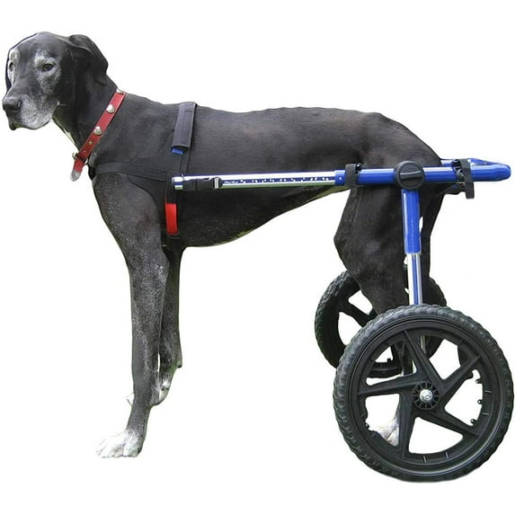 Walkin' Wheels Dog Wheelchair - Vet Approved - Large Dogs 70 -180 lbs
