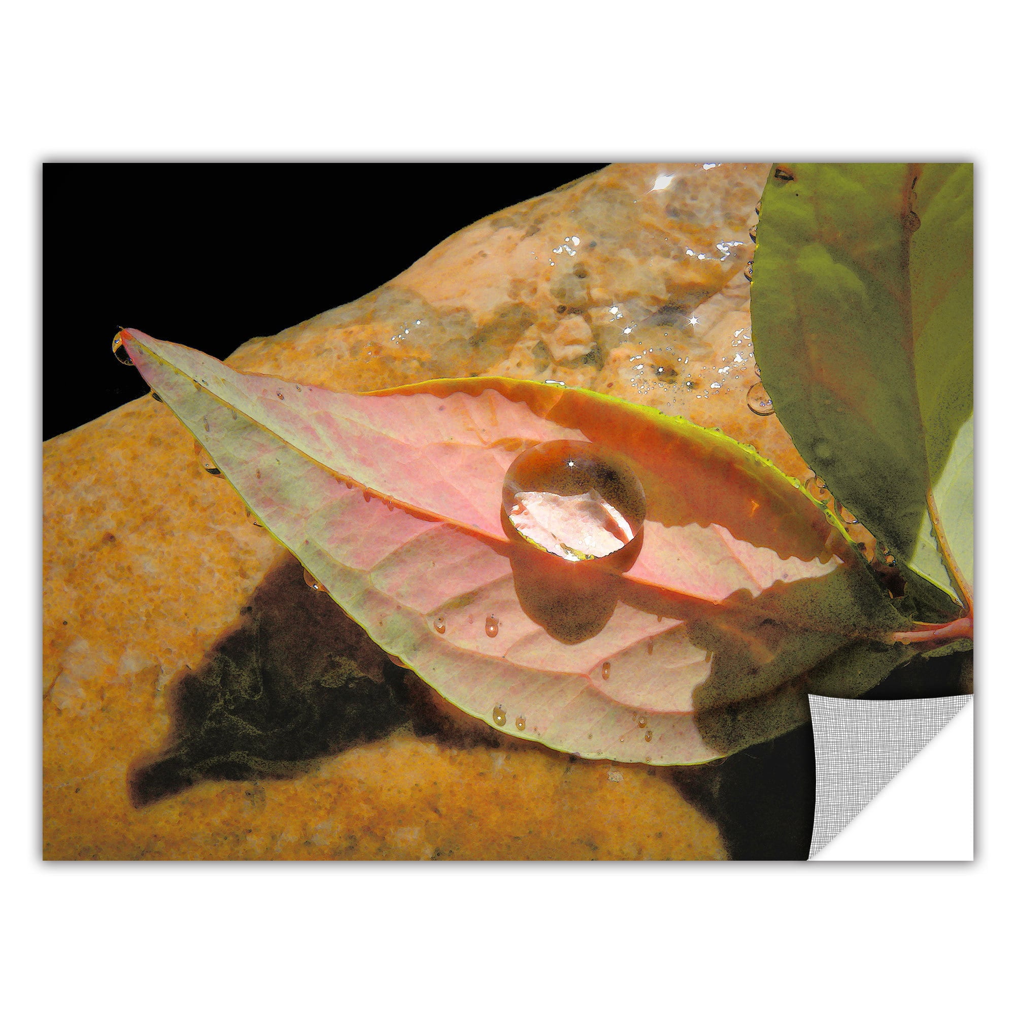 Dean Uhlinger "Natural World" Removable Wall Art