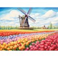 thumbnail image 1 of 5D DIY Kit Flores Coloridas Del 40x30cm, 1 of 9