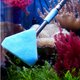thumbnail image 3 of 2 cepillos de limpieza telescópicos con esponja para acuario, pecera, suministros para el hogar y la tienda (rectangular, triangular, azul cielo)., 3 of 7