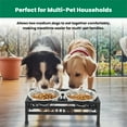 thumbnail image 4 of Iconic Pet Elevated Rectangular pet double diner - Medium - 32 Oz, 4 of 8