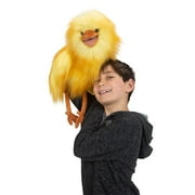 Funny Bird Puppet, (Hardcover)