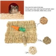 thumbnail image 4 of Estera De Hierba De Conejo Y Juguete De Pelota, Juego De Juguete Para Masticar Para Hámster Con Molienda De Dientes Segura Para Prevenir La Corrosión Para Conejillo De Indias, 4 of 7