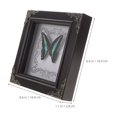 thumbnail image 4 of LEEYNEER Real Butterfly Framed Butterfly Specimen Photo Frame Specimen Butterfly Display Holder Butterfly Frame Wooden Picture Frame Butterfly Framed, 4 of 6