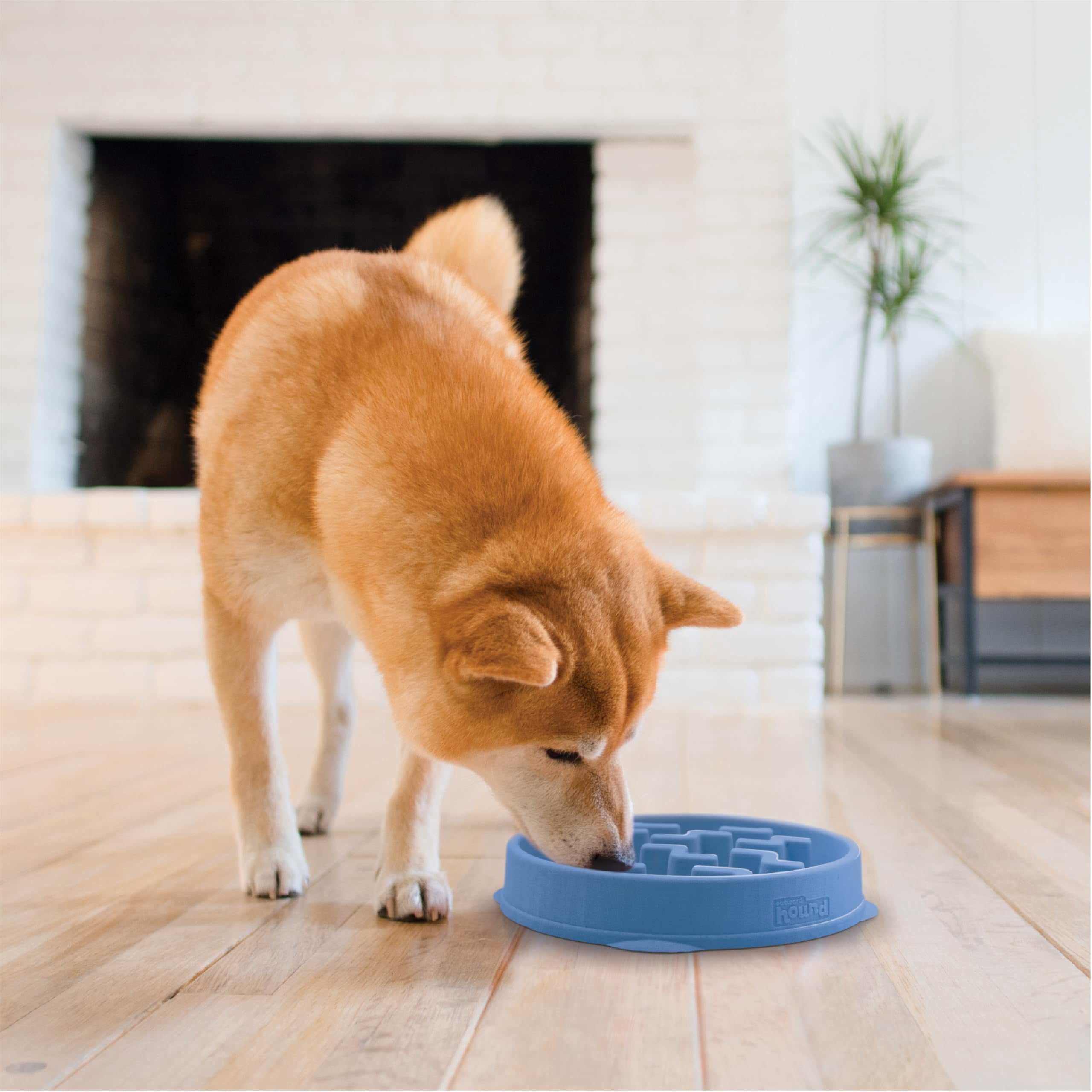 Slow Feeding Bowl Medium 2-Cup Capacity Non-Slip Pet Feeder for Small to Medium Dogs and Cats Drop Pattern Design