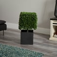 thumbnail image 5 of Nearly Natural 27" Boxwood Artificial Topiary in Black Planter (Indoor/Outdoor), 5 of 5