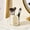🌻 Yellow#505, variant on Rotating Desktop Organizer for Pens, Scissors and Stationery Tools – Multi Compartment Storage Box for Home & Office Desk