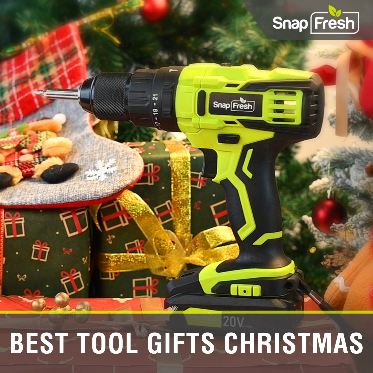 SnapFresh 20V Cordless Drill,1/2 Metal Chuck , 445In-Lbs, 21+1 Torque Setting, 2.0Ah Battery