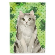 Carolines Treasures CK3066GF Ragamuffin Shamrock Flag Garden Size Small multicolor