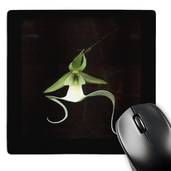 3dRose, Rare Exotic Ghost Orchid, MousePad