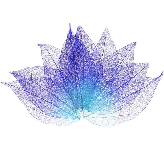 200-Pack Skeleton Leaves, Natural Rubber Tree Dried Pressed Leaves Vein [8-9cm, Purple, Blue]
