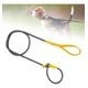 thumbnail image 4 of Correa De Entrenamiento Para Perros, Cadena Para Amarillo, 4 of 8