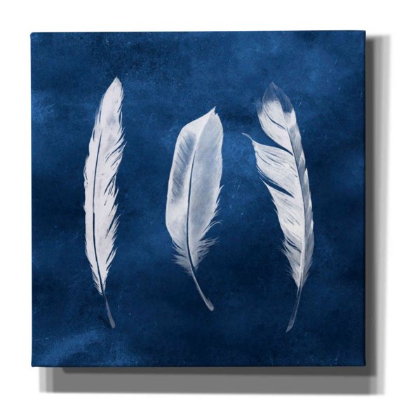 Epic Graffiti 'Cyanotype Feathers II' by Grace Popp, Canvas Wall Art, 37"x37"