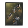 thumbnail image 2 of Stupell Industries Sunlit Nature Birds Perched Animals & Insects Painting White Framed Art Print Wall Art, 2 of 5