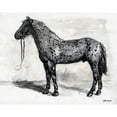 thumbnail image 3 of Stellar Designs Studio 14x12 Black Modern Framed Museum Art Print Titled - Horse Study 2, 3 of 5
