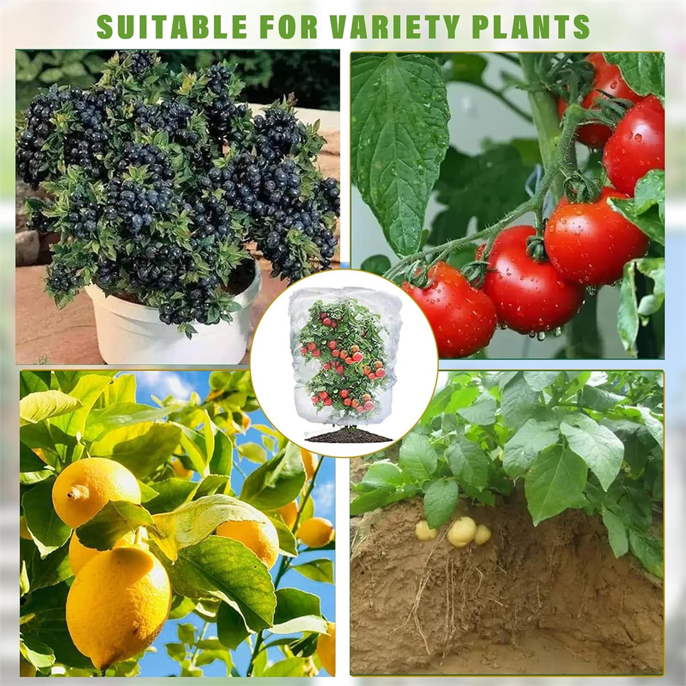 6 Pcs Garden Plants Protection Netting Cover Bags,Garden Bird Barrier Mesh Covers Bag to Prevent Fruits and Vegetable from Squirrel,Bird and Cicadas,Insect Netting Bag,3.3 Ft