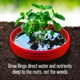 thumbnail image 3 of Planting Grow Rings, Round 7 inch, Perfect for Deep Watering Veggies Herbs and Flowers, Protection and Edging of Garden Plants, Red, Made in The USA - Pack of 4, 3 of 9