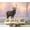 Color4, variant on Peel and Stick Wallpaper Waterproof Close up Red deer stag winter Wall Mural Decor Self Adhesive and Removable 100in x 144in