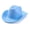 Blue, variant on Fall Hats for Women 2026 Cowboy Hat for Men Women and Teens Cowgirl Hat for Party Costume Dress Up