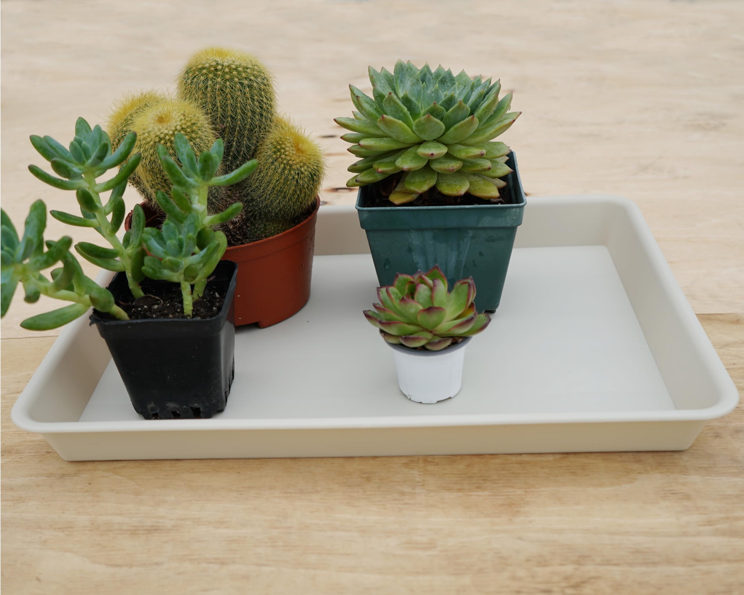 Plant Saucer Growing Tray Set 2-Pack 11x9 Inch Heavy Duty Plastic Seed Starter Trays with Drainage for Indoor Outdoor Pots Gardening Supplies
