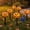 K, variant on Qwtwty 5 Pack Solar Lights Halloween Decorations Outdoor, Solar Pathway Stake Lights for Walkways, Gardens, Lawns, Driveways and Landscape Lighting
