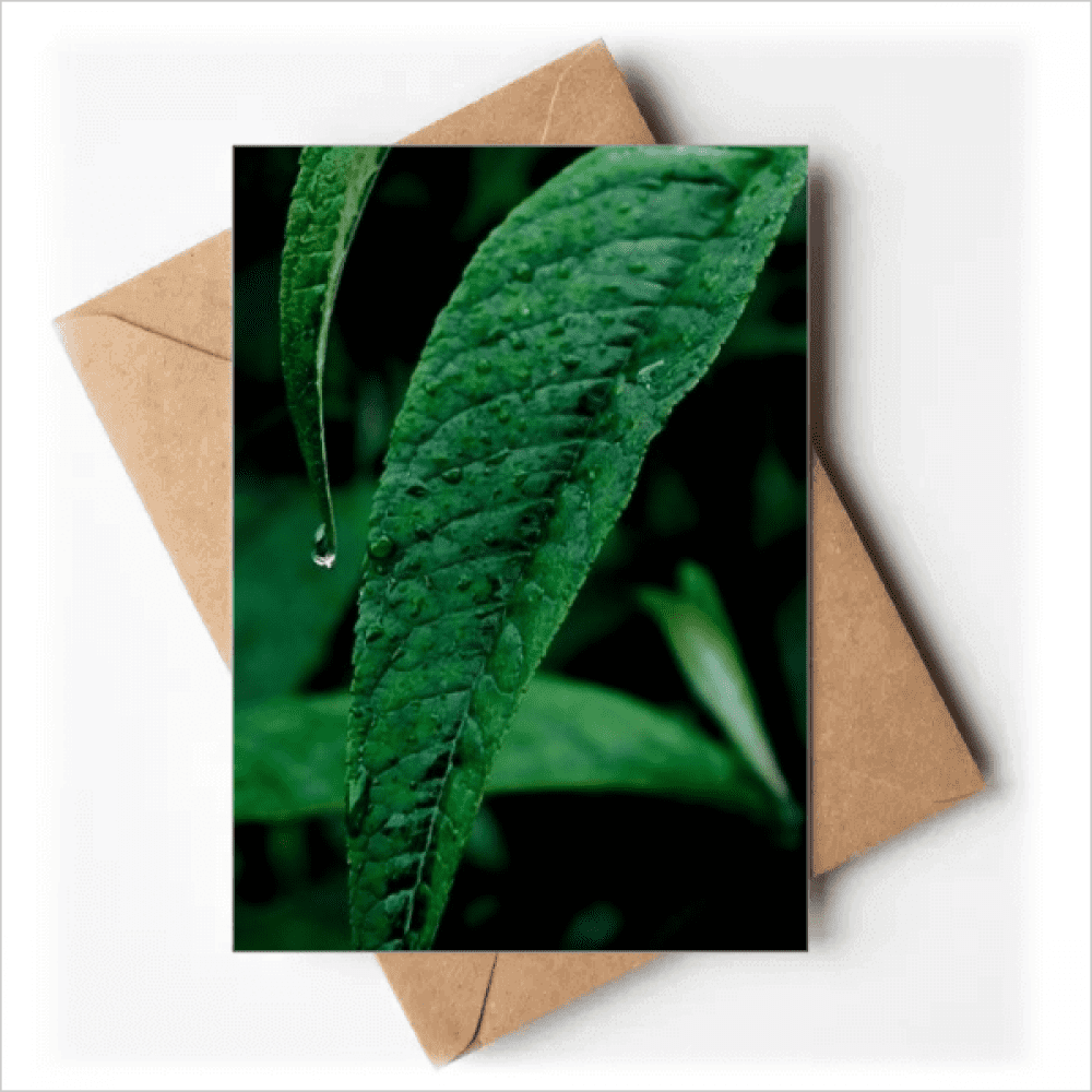 Nature Photography Greeting Cards You are Invited Invitations