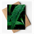 thumbnail image 1 of Cartes de Vœux Photographie Nature Vous Tes Invités Invitations, 1 of 3