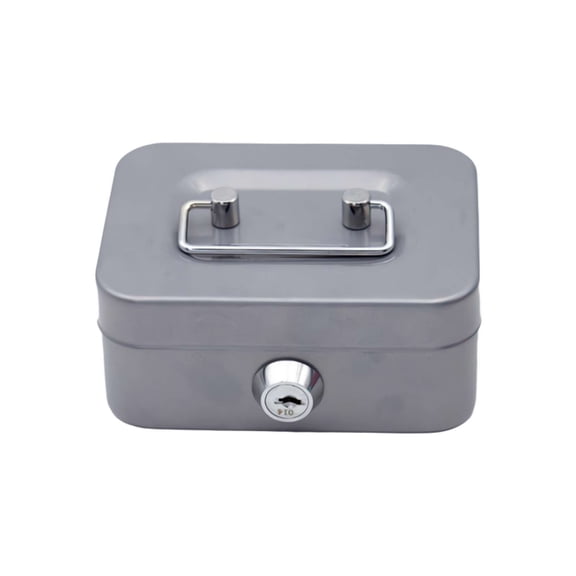 Small Money Box with Lock Metal Cash Box Piggy Bank with Lock ,Gifts for kids