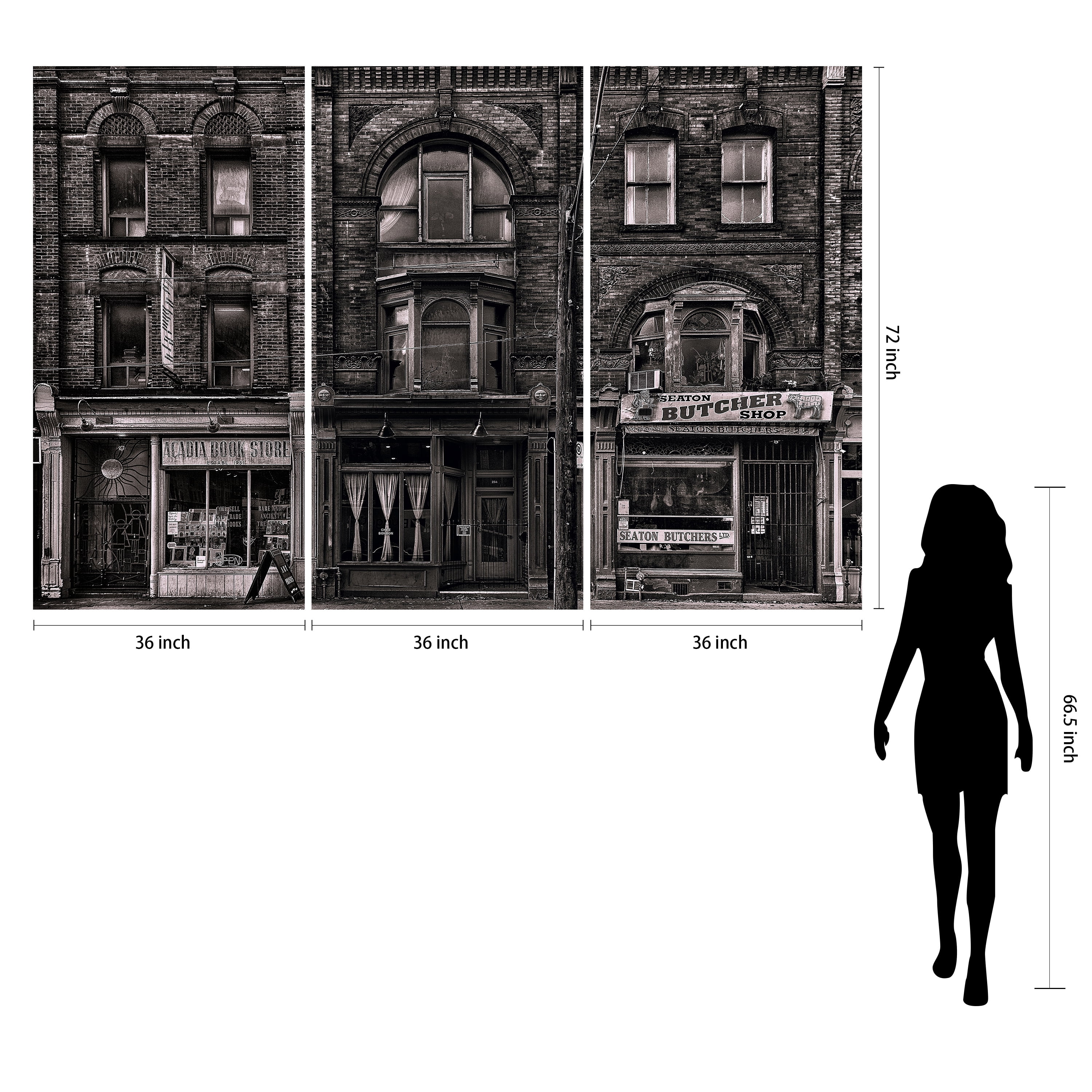 "Historic Brownstone Trio" Buildings Frameless Reverse Printed Tempered Art Glass Wall Art