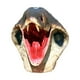 thumbnail image 4 of Máscara Yinane Cabeza de Serpiente Cosplay Cubierta Completa, 4 of 8