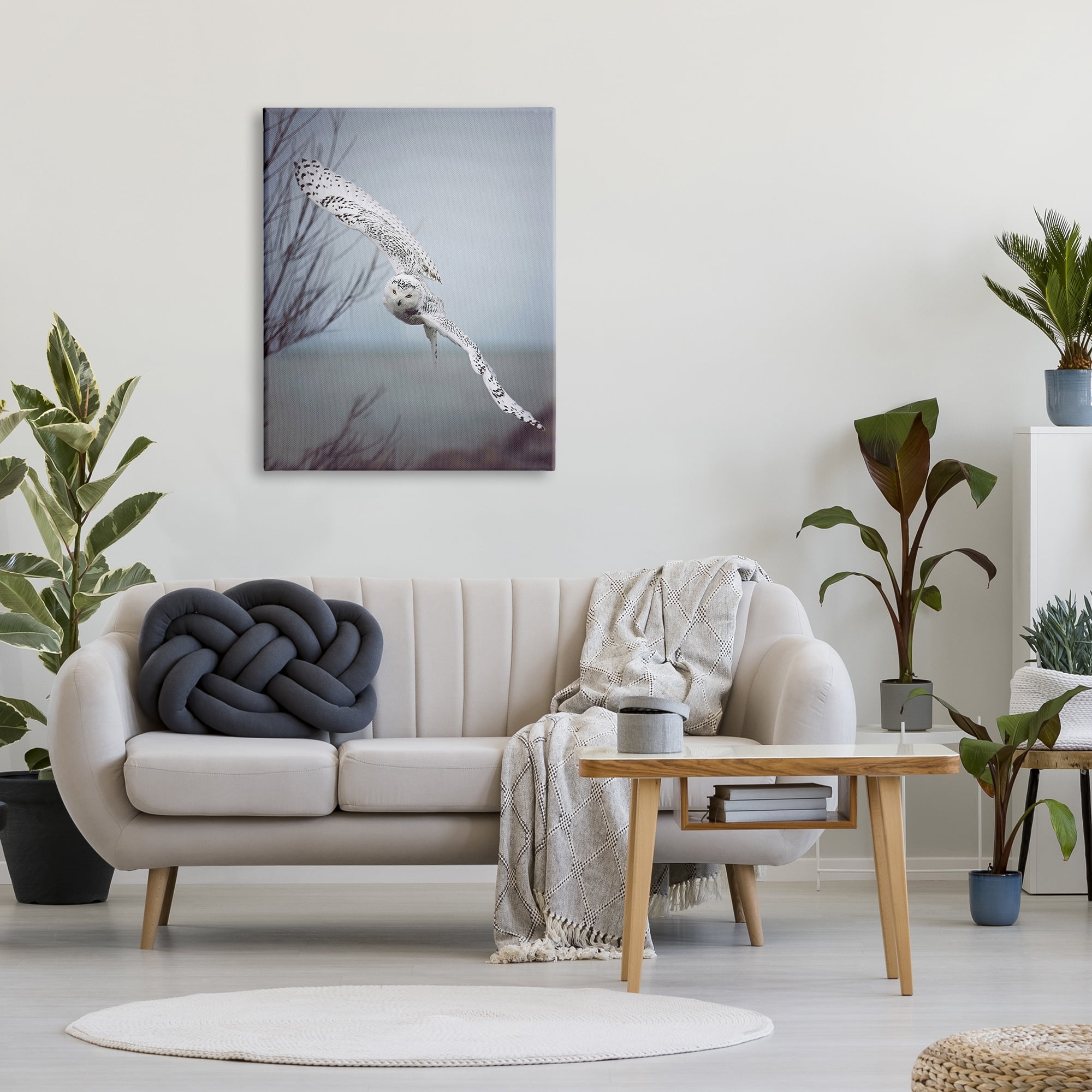 Stupell Industries Majestic Snowy Owl Flying Wingspan Wildlife Photography Photograph Gallery Wrapped Canvas Print Wall Art, Design by Carrie Ann Grippo-Pike