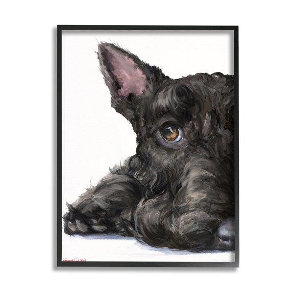 Stupell Industries Sleepy Scottish Terrier Portrait Adorable Pet Dog Black Framed, 11 x 14, Design by George Dyachenko