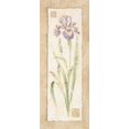 thumbnail image 2 of Gladding, Pamela 10x18 Gold Ornate Wood Framed with Double Matting Museum Art Print Titled - Iris, 2 of 4