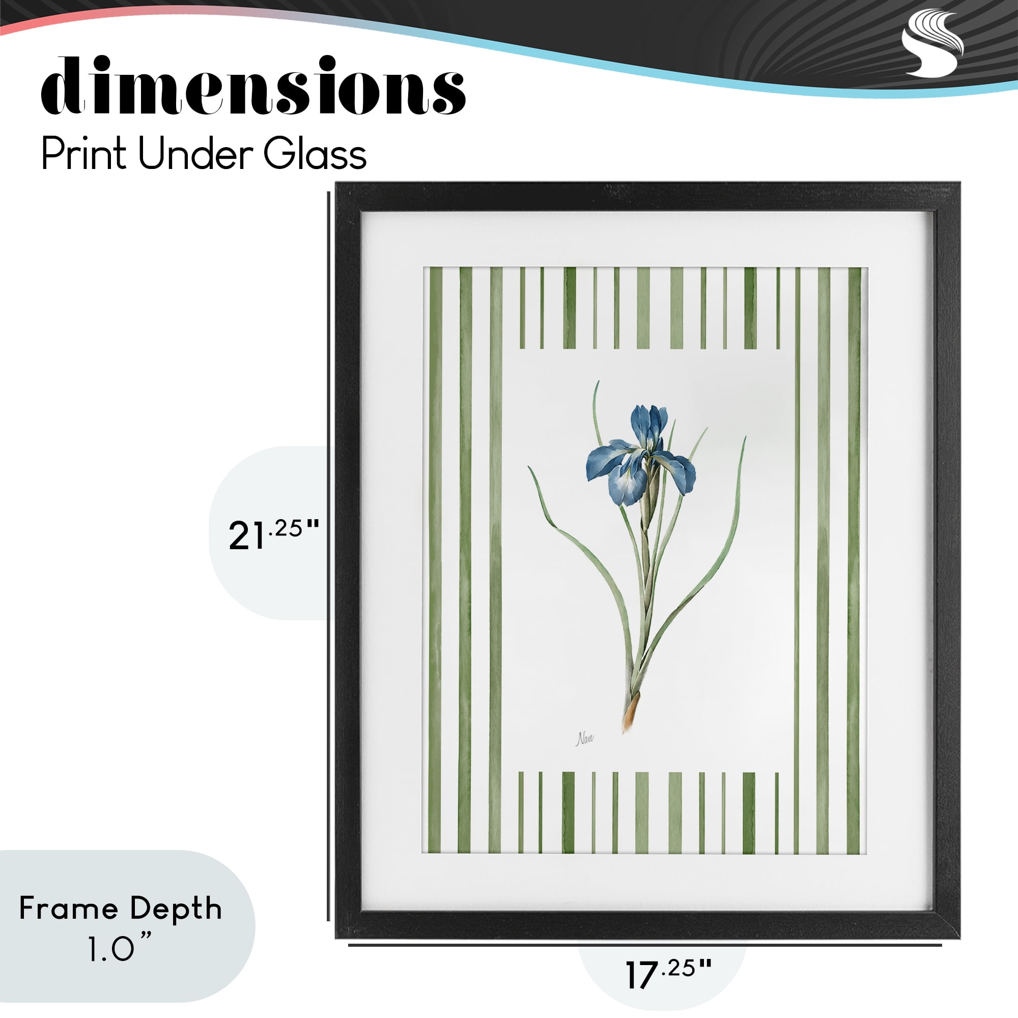 Stupell Industries Spring Iris And Stripes Black Framed Print Under Glass, design by Nan