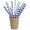 Blue Stripes, variant on PacknWood Paper Straws 7.75 Inch 50, Blue Stripe