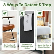 BugMD Bed Bug Trap (1 Pack, 12 Traps) - Interceptors, Bed Bug Prevention, Sticky Glue Traps, Insect Trap Indoor