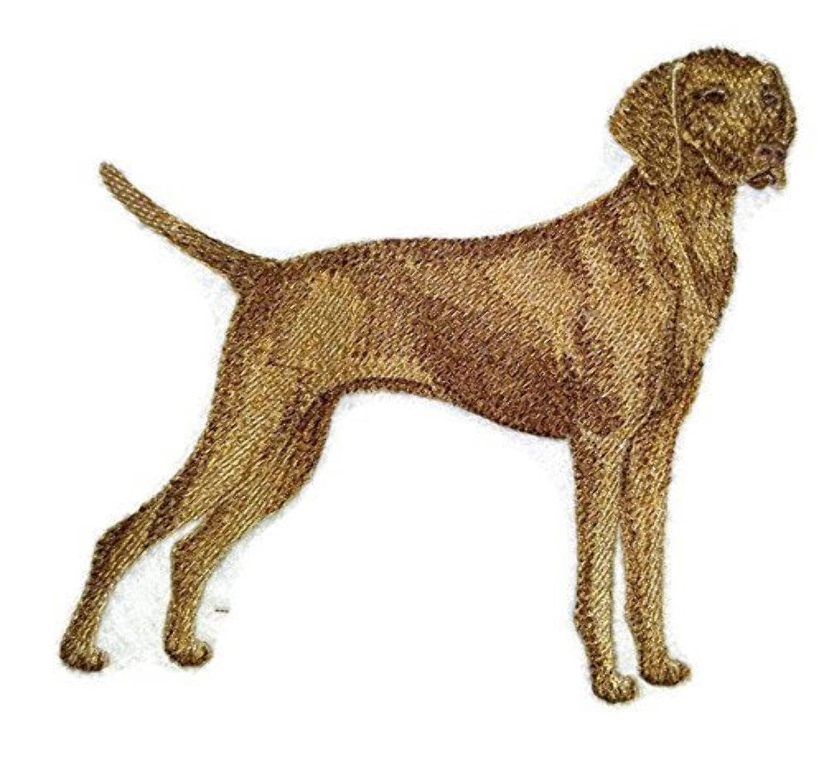 Custom Dog Portraits[Vizsla] Embroidered Iron On/Sew Patch [5." x 4]]