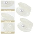 thumbnail image 4 of Weiweiguan 20pcs Resin Pearl Shell DIY Handmade Hairpins Hair Ropes Making Accessories, 4 of 7