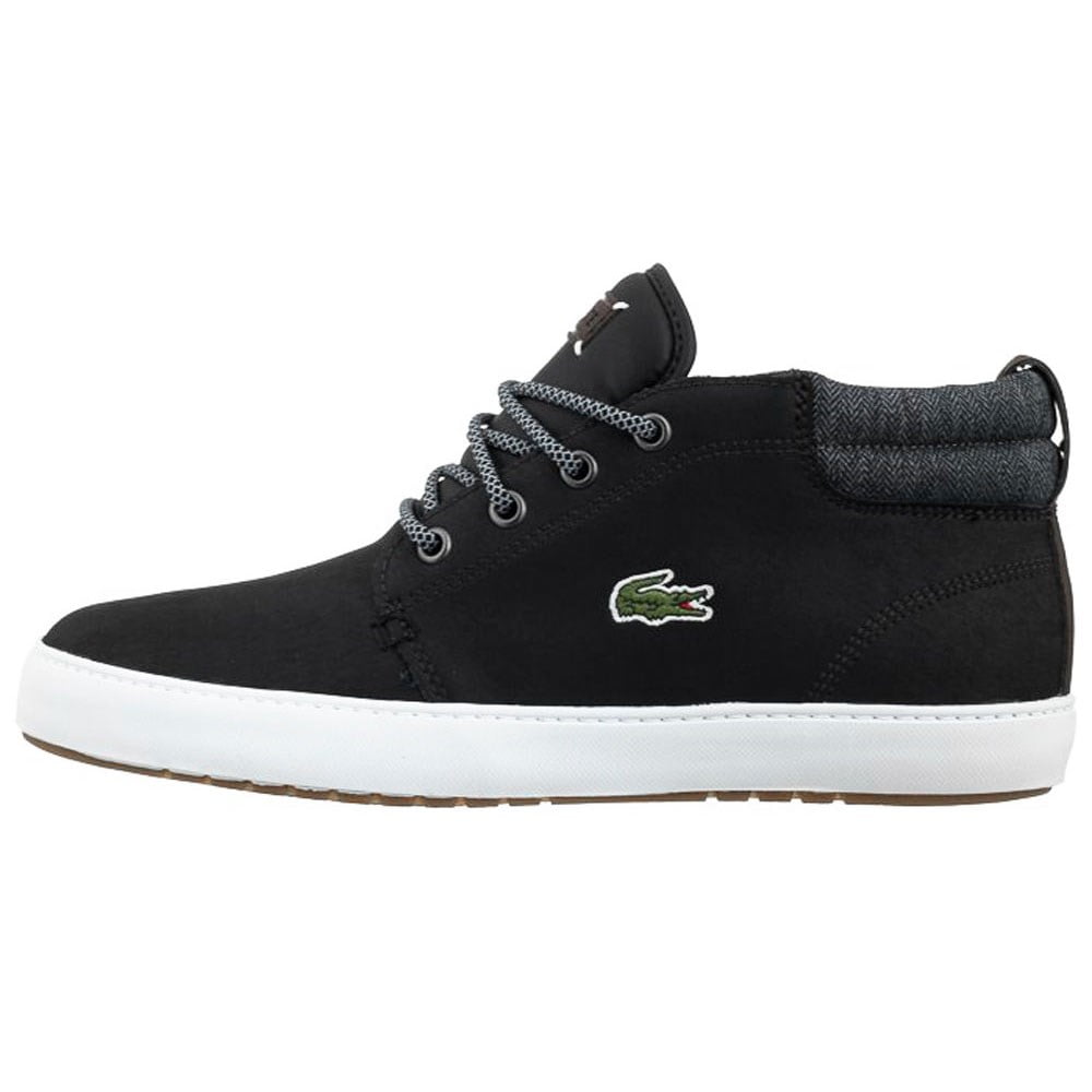 ampthill terra lacoste