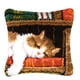 thumbnail image 1 of Kits de ganchos de cerrojo Soledad para principiantes con Funda de almohada de Gato durmiendo, 1 of 9