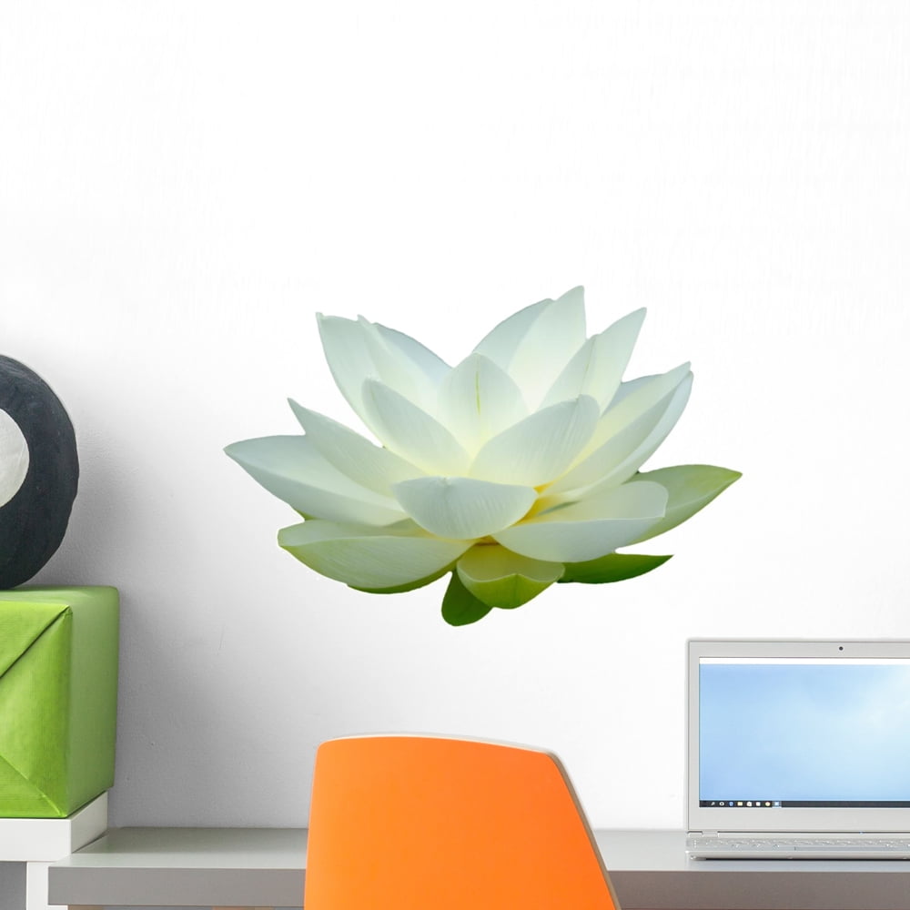 White Lotus Flower Wall Mural by Wallmonkeys Peel and Stick Graphic (18