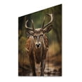 thumbnail image 2 of Designart "African Majestic Antelope Strolling" Animals Print on Natural Pine Wood, 2 of 5