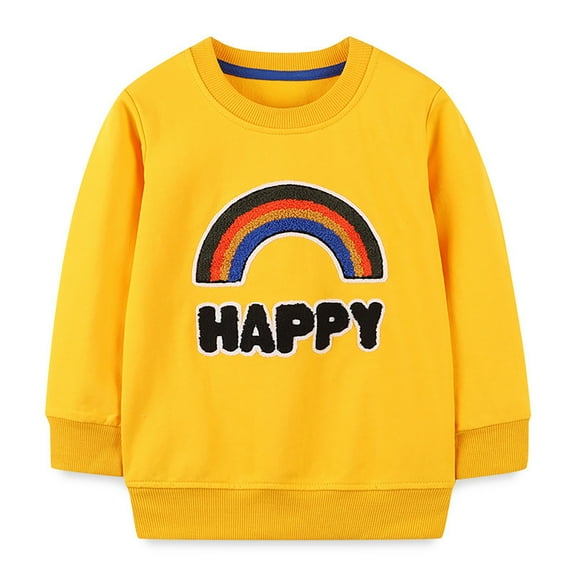 WOYY Toddler Boys Casual Sweatshirt Rainbow Embroidery Pullover Crewneck Long Sleeve Shirt