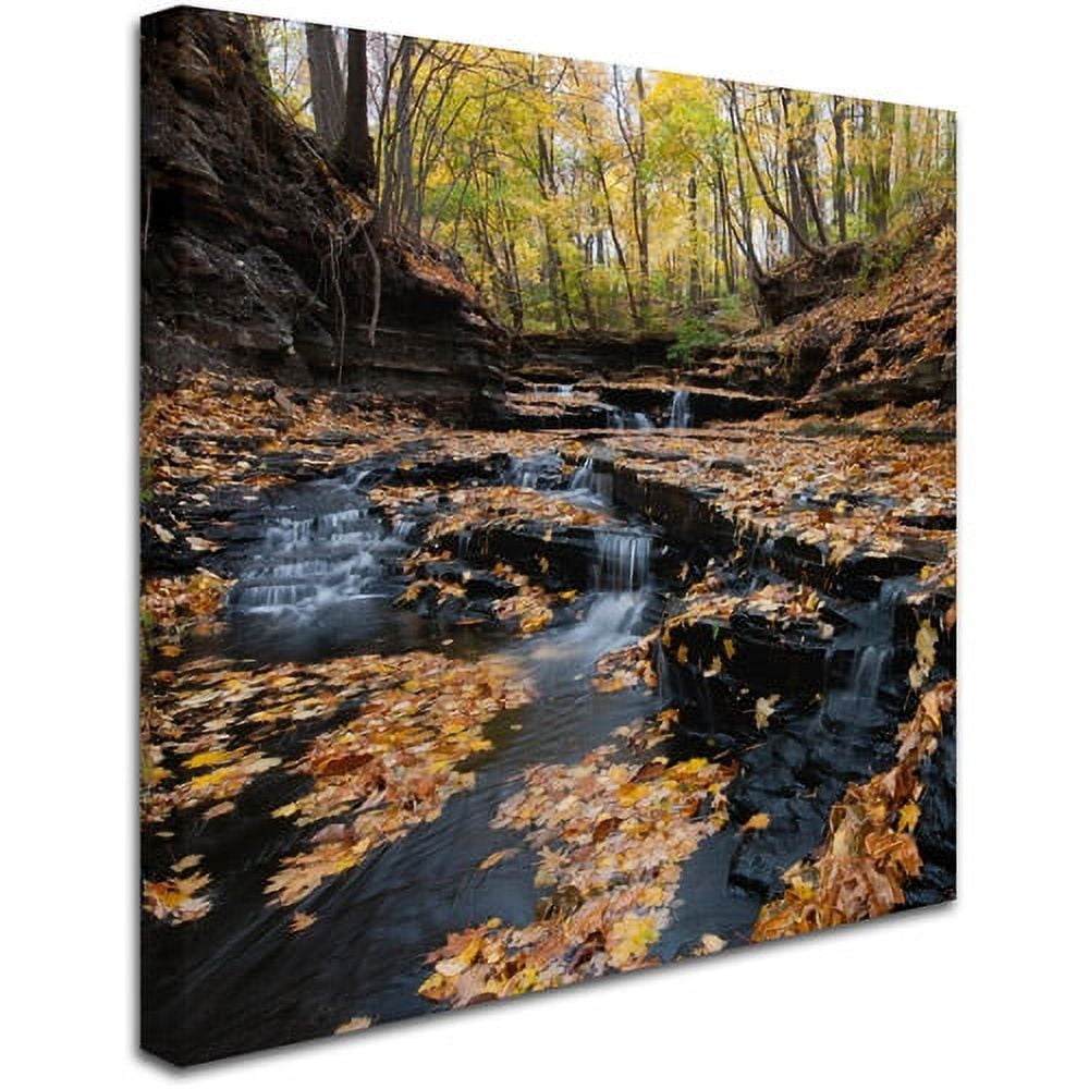 Trademark Fine Art "Lakeview Autumn Falls" Canvas Art by Kurt Shaffer