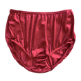 thumbnail image 2 of Nylon Brief Panty (Style 331/Plain Jane) 4 Pack in Wine Size 7, 2 of 4