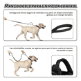 thumbnail image 5 of Collar Y Cuerda Para Perros talla GRANDE Malubero NEGRO, 5 of 5