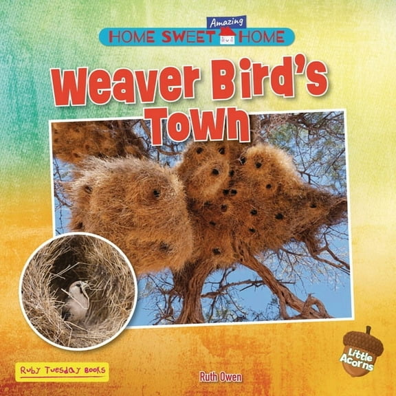 Home Sweet Amazing Home (Little Acorns) Weaver Bird's Town, (Paperback)